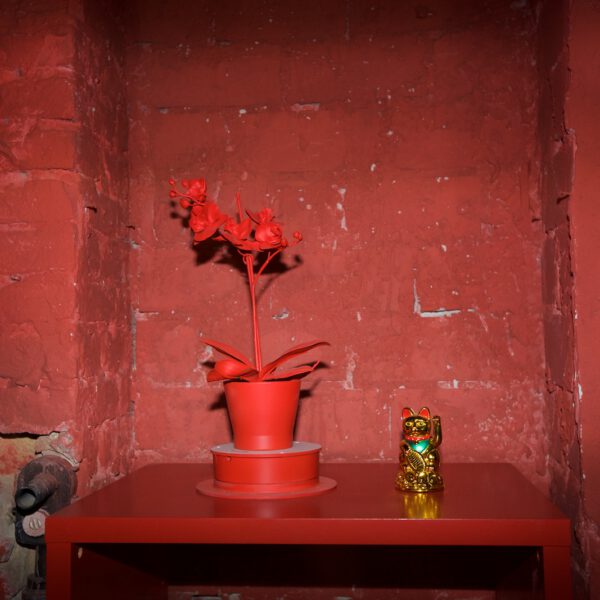 Red Corner "Alarmstufe Rot" | KARIBUNI